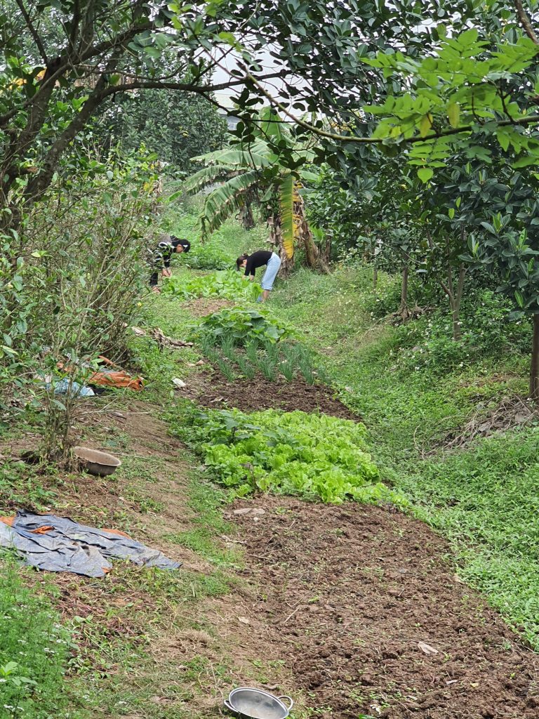 20220114_110812-768x1024-2