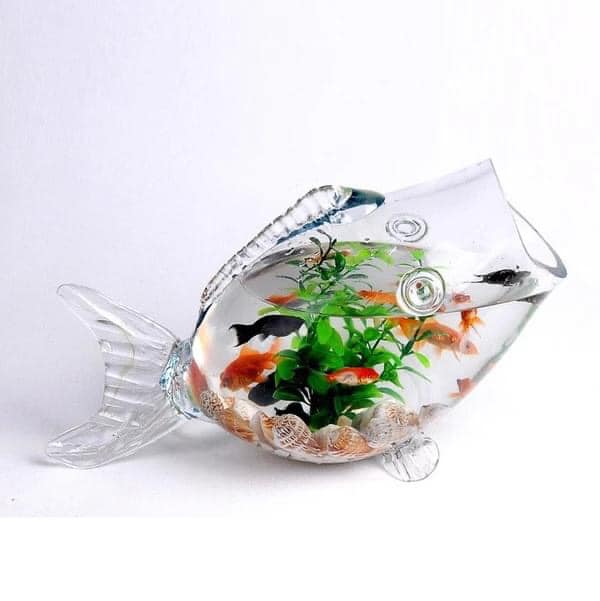 324345319_5730267170414280_2388215311703800844_n-1