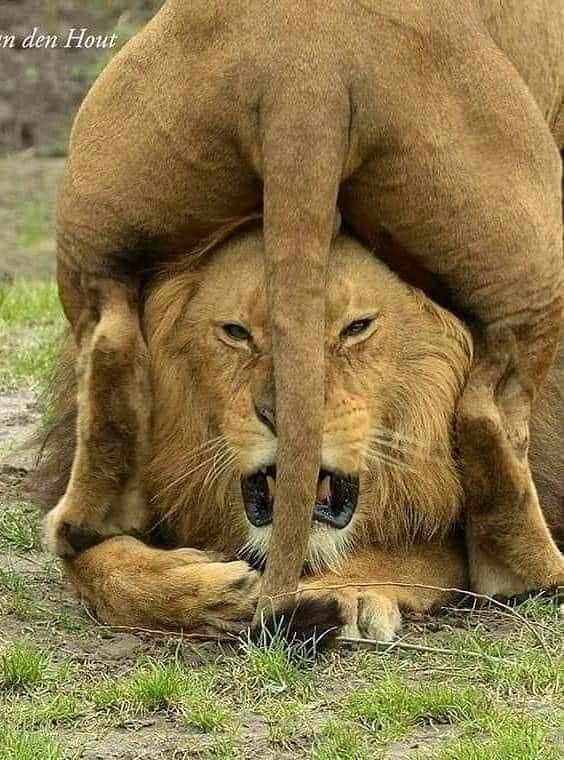 438037408_445989967820825_5343722301963112087_n