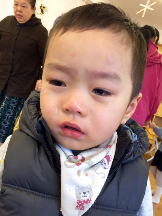 440944399_1880528762373494_1251813198323160569_n