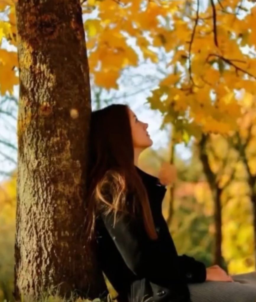 457251720_2262063980816399_2893256480591124832_n-866x1024-2