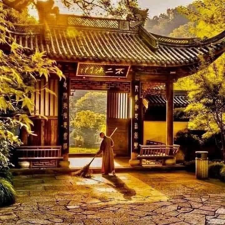 459340397_3640032232977531_2621622655043663417_n-1