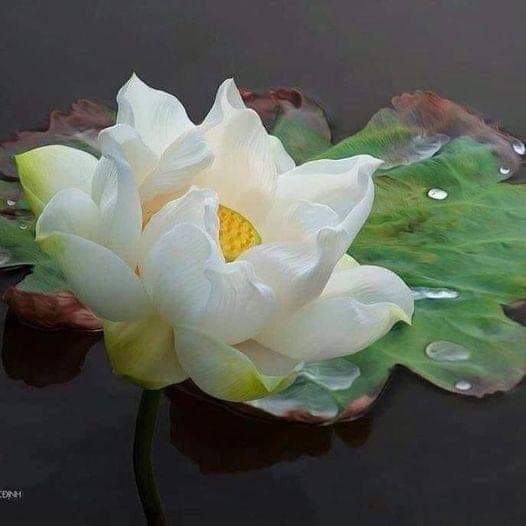 fb_img_1718685275247