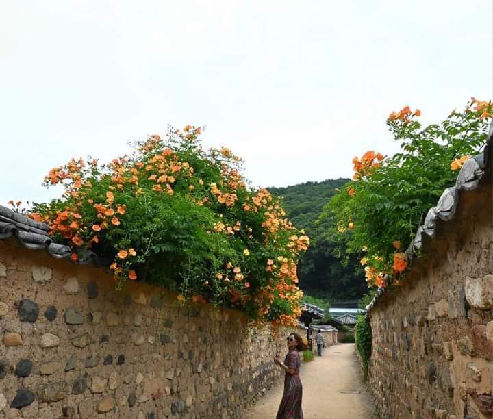 fb_img_1719385209187