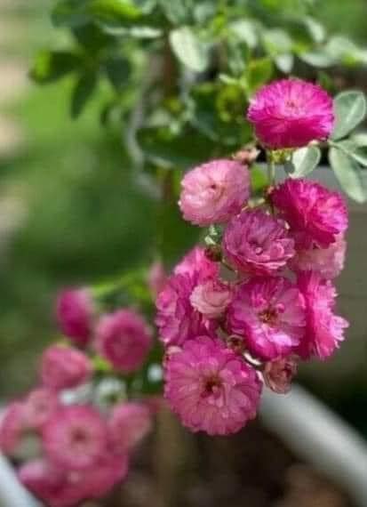 438145148_7618122558233209_4406727967020697255_n