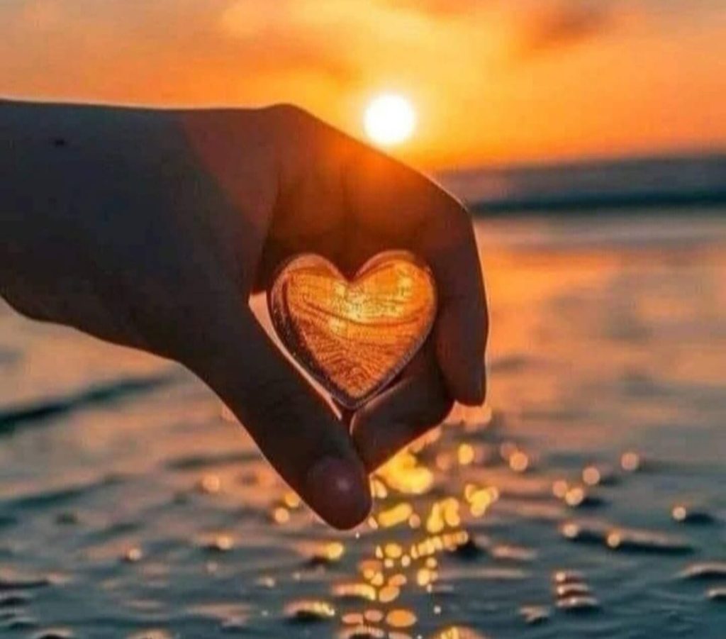 470227807_2354507354905394_196587039138871766_n-1024x901-2