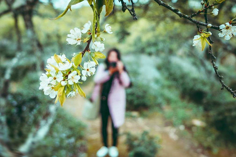 154d5214840t372l3-at-hoa-mo-no-trang-m