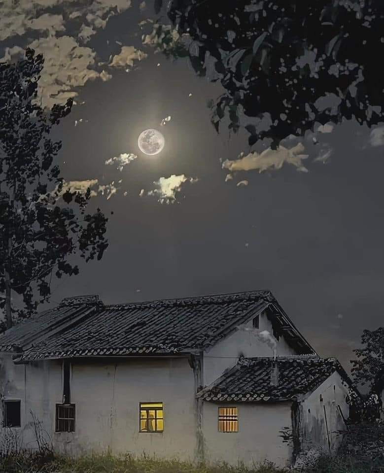 457453293_3630044110643010_4390114408217267995_n