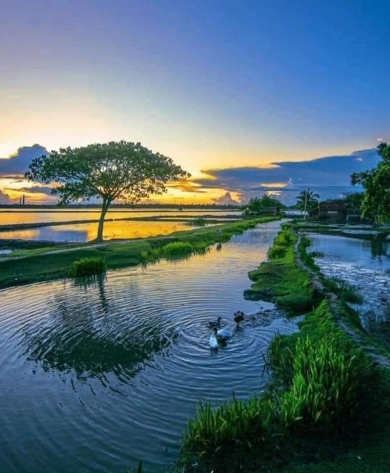 472337471_3743495445964542_6347450333324312605_n