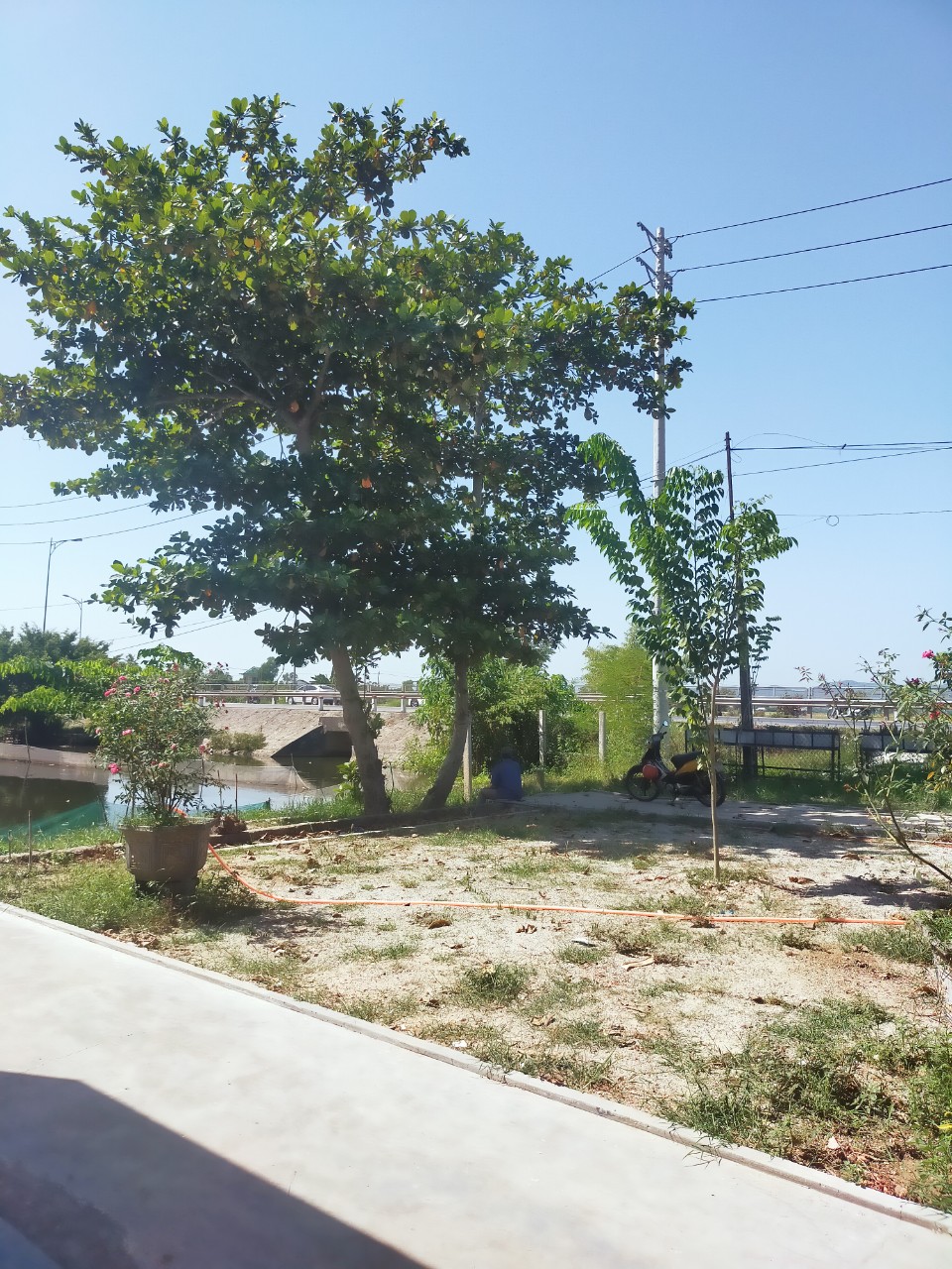 475498735_1355949598888184_1566475656312217654_n