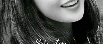 Tin bạn mất chồng 1