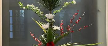 Đừng cố gắng “tranh luận” với mình làm gì