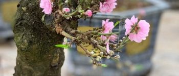 Nơi gặp gỡ tình yêu 1