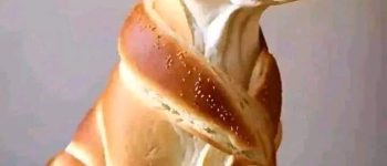 Tản mạn cuộc đời