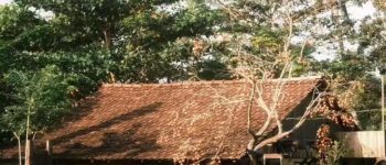 Bên kia vực thẳm