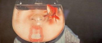 Mọi thứ sẽ qua thôi, miễn chúng tôi sát cạnh