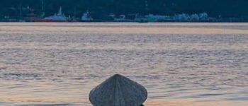 Vì mẹ không cần tiền