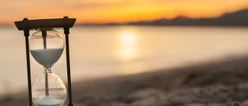 Bà ơi cháu xin lỗi vì tất cả