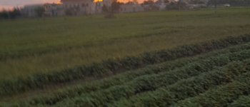 Tình cũ -Nghĩa xưa 1