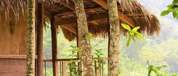 Lời nói dối quá khó 1